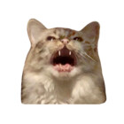 PrimcessPamcake