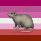 Rat-Gang