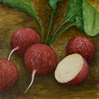 asapfineart