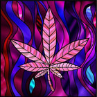 Sornoran420