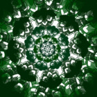 phuntchanted