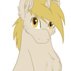 furywind