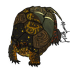 RiverTurtle