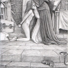 thornbird