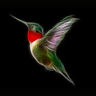 TheSpiritWithin