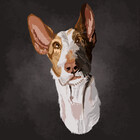 Flynne