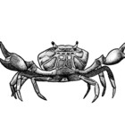 Marialerri