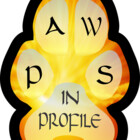 pawsinprofile