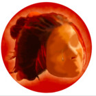 stellapappi