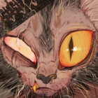 SkyeKatt