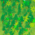 Freshstar1