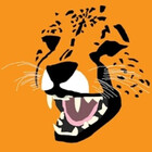 iNaughtyTiger