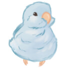 parrotletOvO
