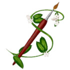 Stephanotis
