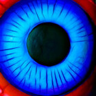 ArcaneEye