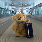 TravelTeddy