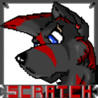 ScratchHusky