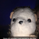 Maddie785
