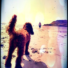 Lolaandthestars