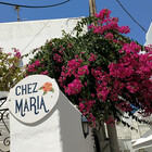 mariact1995