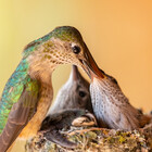 DaveTeePhoto