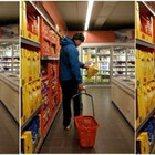 vegard7
