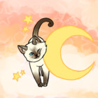 star-cat-art