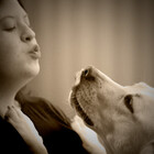 khbphotos