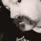 TerryHarwoodInk