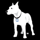 WonderBull