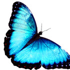 NaturalPhotos