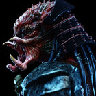 FearAkuma