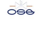 OSBT-Shirt