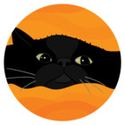 albusthecat