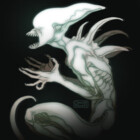 TheXenoForge