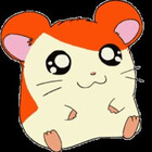squillye3