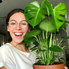 LeafMeAloene