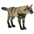 garbageanimals