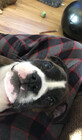 Mustbeeop