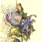 WishFishy