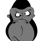 Shartzer
