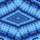 Psychadelafox