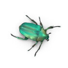 alvalvalv