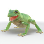 froggyart