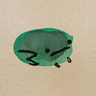 TinyPhrog