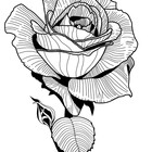JMarshalltattoo
