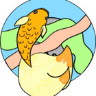 DerpyAnimations