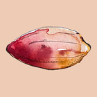 TinaBreidi