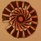 Rnz0