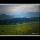 ncphotographer
